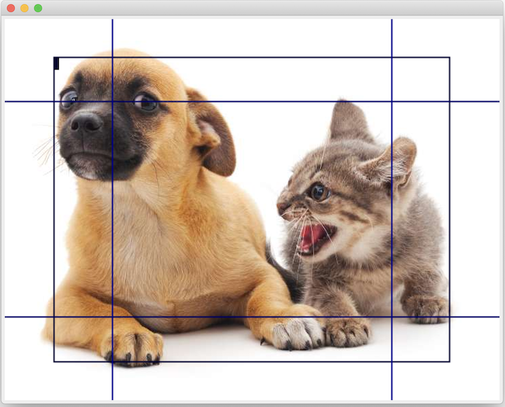 https://d2l-java-resources.s3.amazonaws.com/img/featuremap_1x1.png